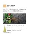 Diffusore a Bastoncini Lime & Vetiver 250ml