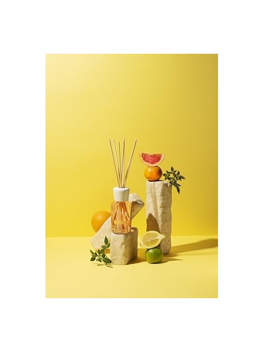 Milano Stick Diffuser 100ml Lime Vetiver