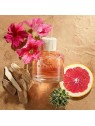 Hollister Canyon Escape For Her 100ml