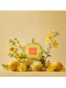 Puig Anouk Eau de Toilette Spray 200ml