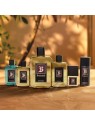 Puig BRUMMEL come Unisex da 250ml