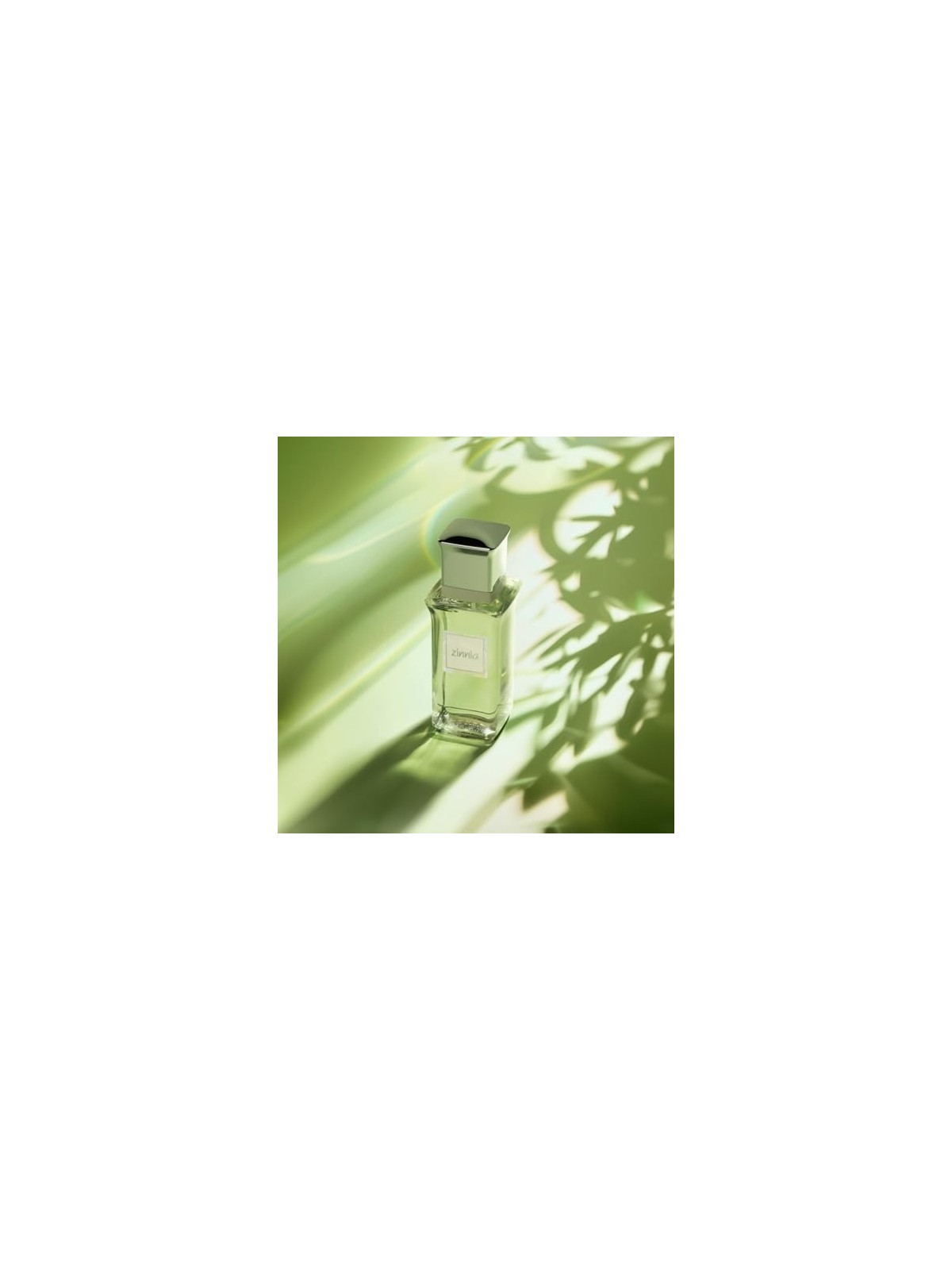 Profumo Antonio Puig Zinnia 100ml