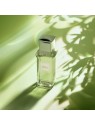 Profumo Antonio Puig Zinnia 100ml