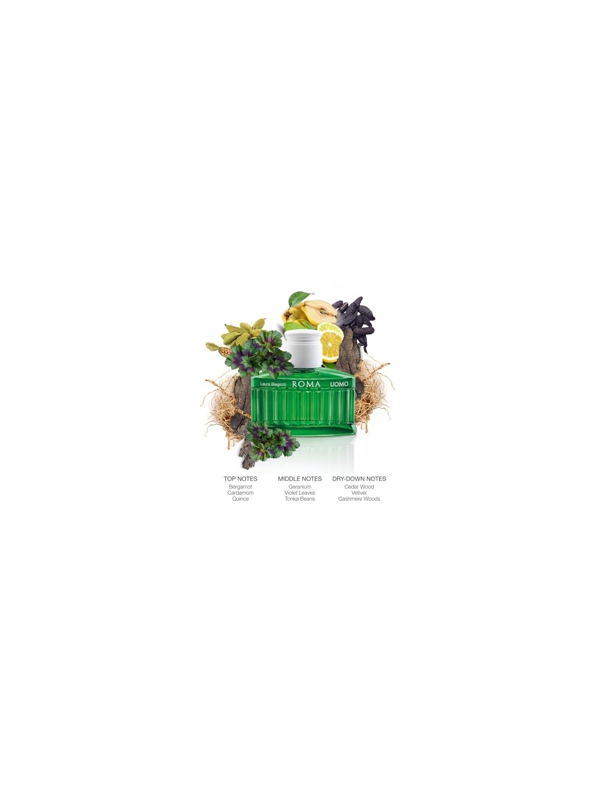 Laura Biagiotti Roma Uomo Green Swing Eau de Toilette Uomo 75ml