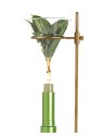 Teaology BALSAMO per LABBRA al t matcha unisex