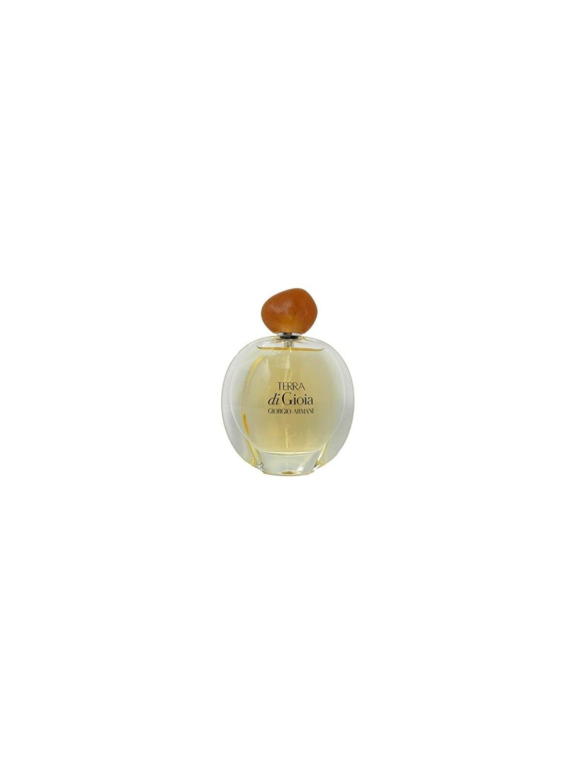 Armani Giorgio Terra di Gioia Eau De Parfum 100ml donna