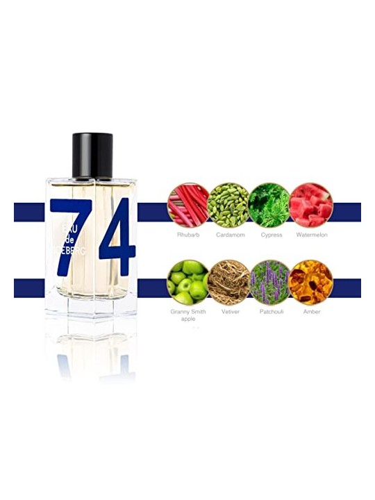 Iceberg Eau de Iceberg Cedar EDT 100ml uomo