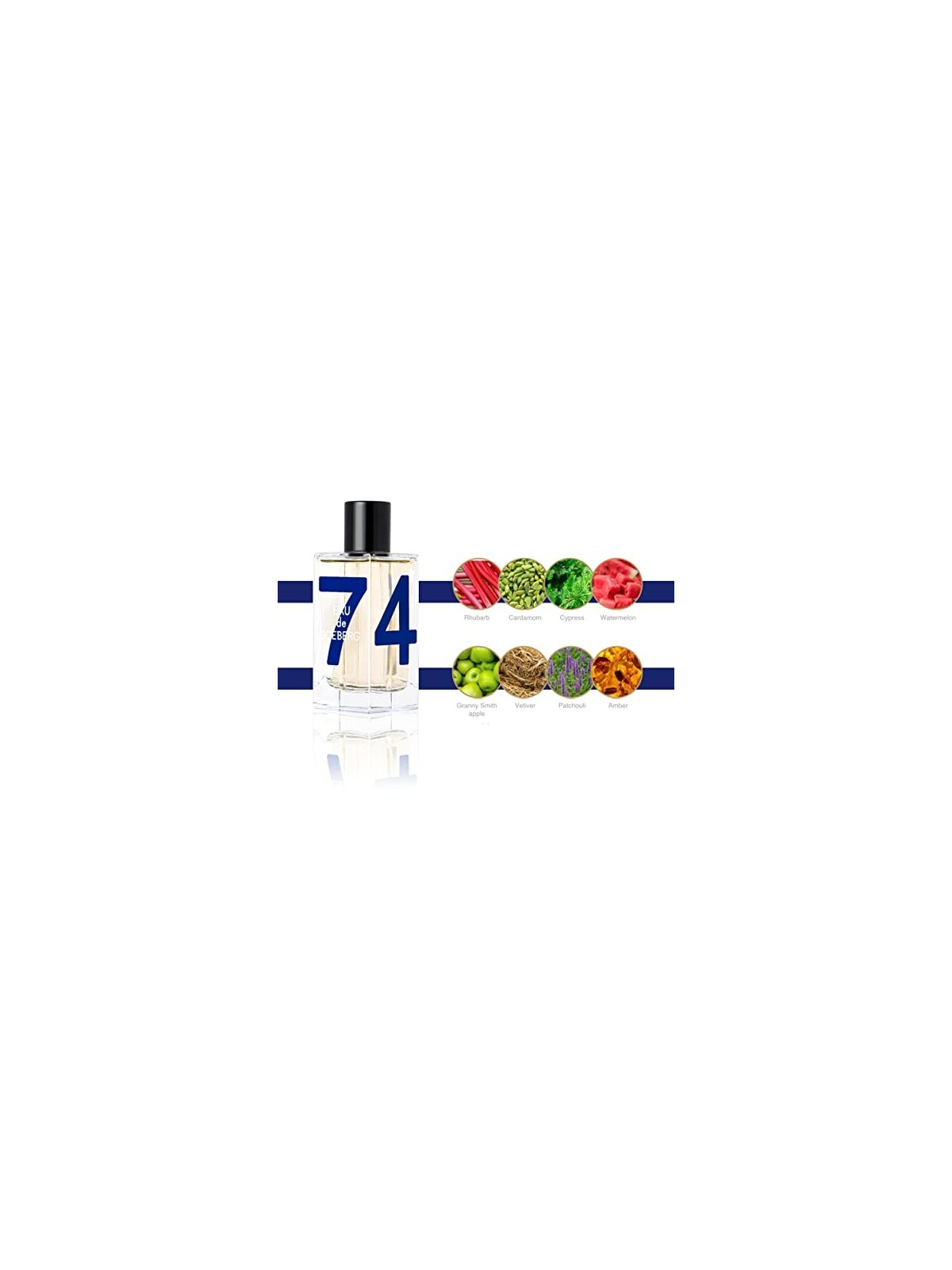 Iceberg Eau de Iceberg Cedar EDT 100ml uomo