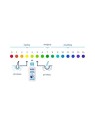 Shampoo idratante per capelli normali e secchi 400ml