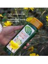 Shampoo Natur Vital ECO PURIFICANTE zenzero limone 300ml