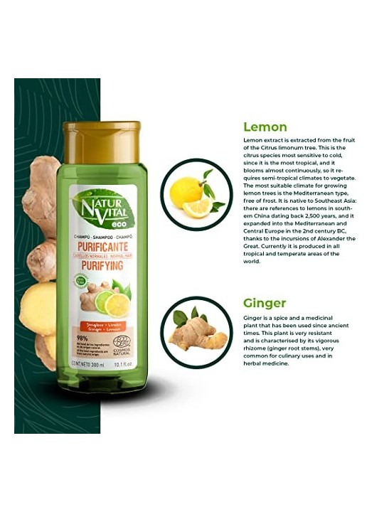 Shampoo Natur Vital ECO PURIFICANTE zenzero limone 300ml
