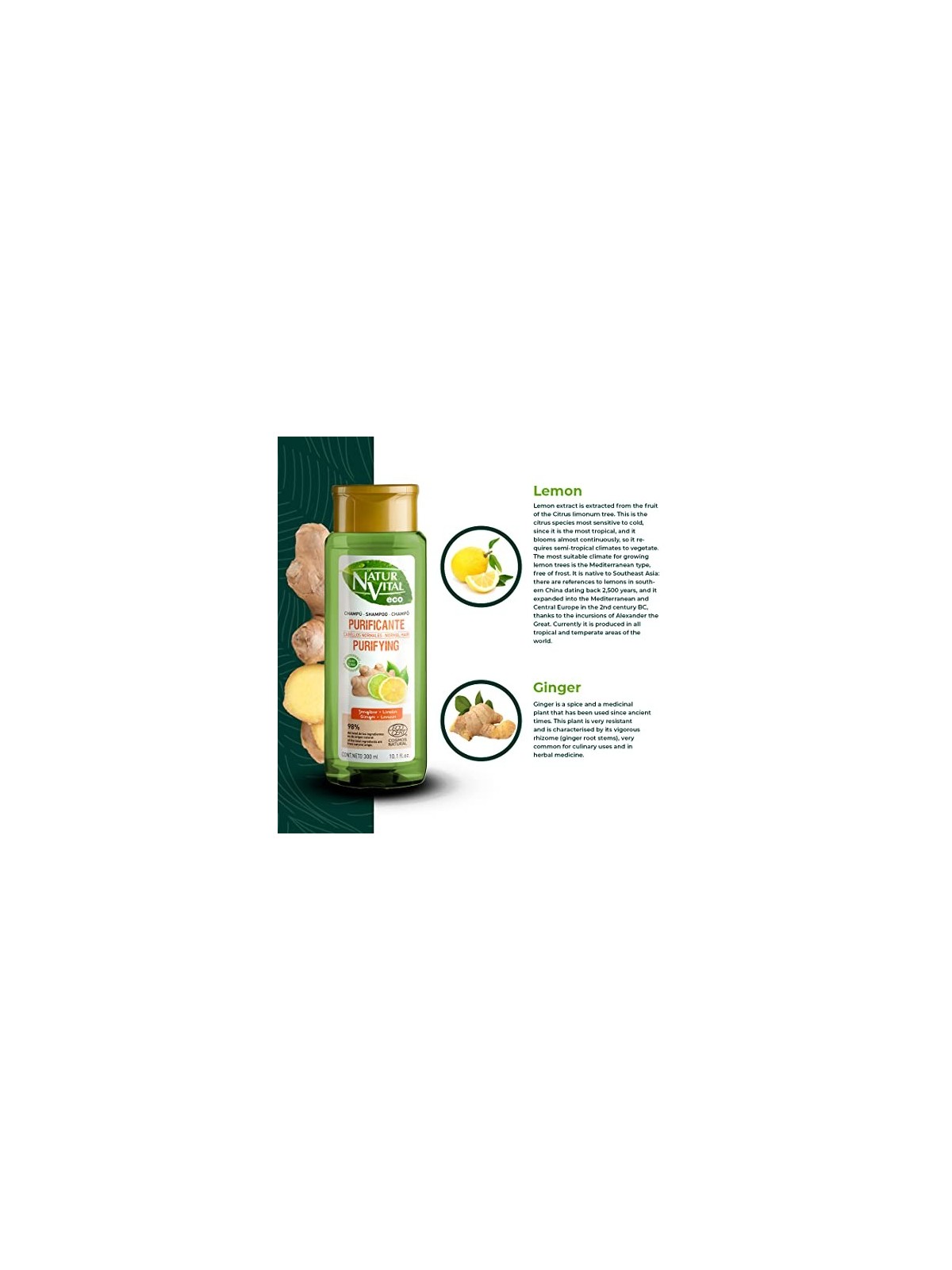 Shampoo Natur Vital ECO PURIFICANTE zenzero limone 300ml