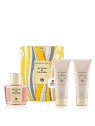Acqua di Parma Rosa Nobile EDP 100ml