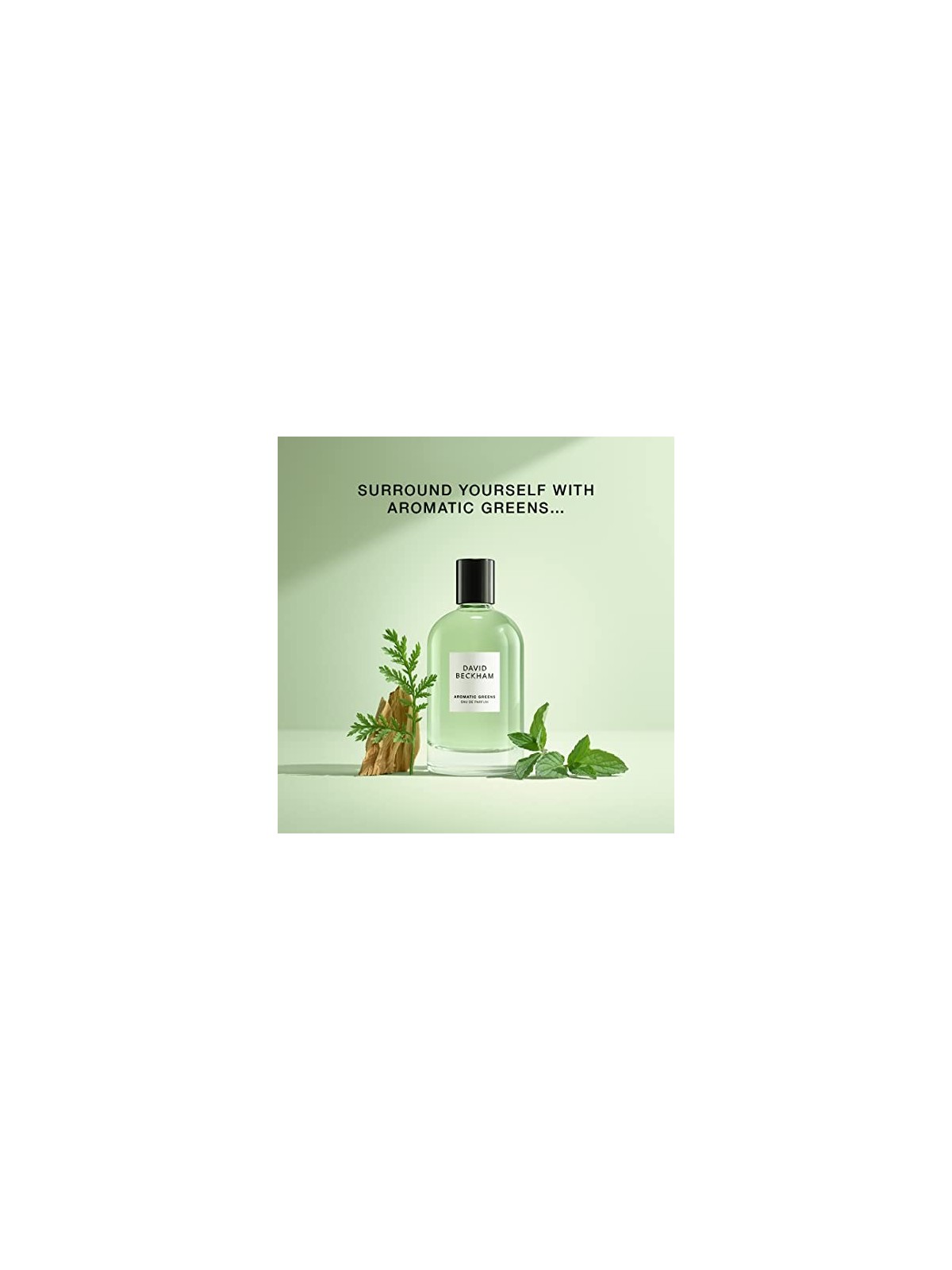 David Beckham Verdi Aromatici Eau de Parfum Uomo 100ml