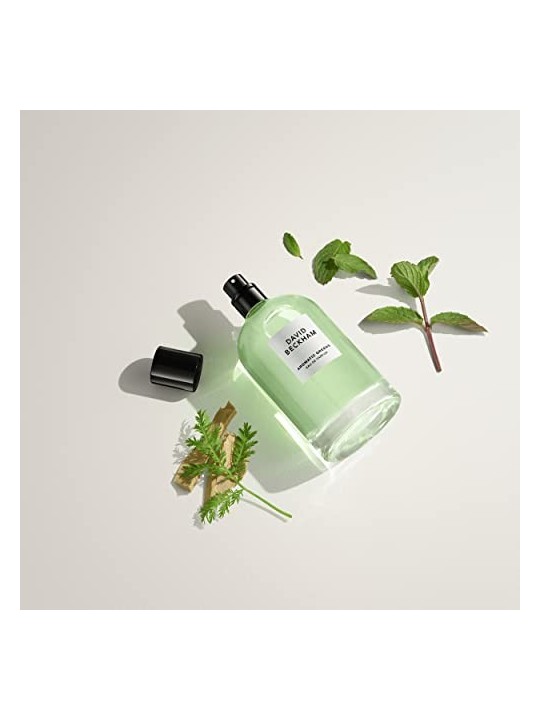 David Beckham Verdi Aromatici Eau de Parfum Uomo 100ml