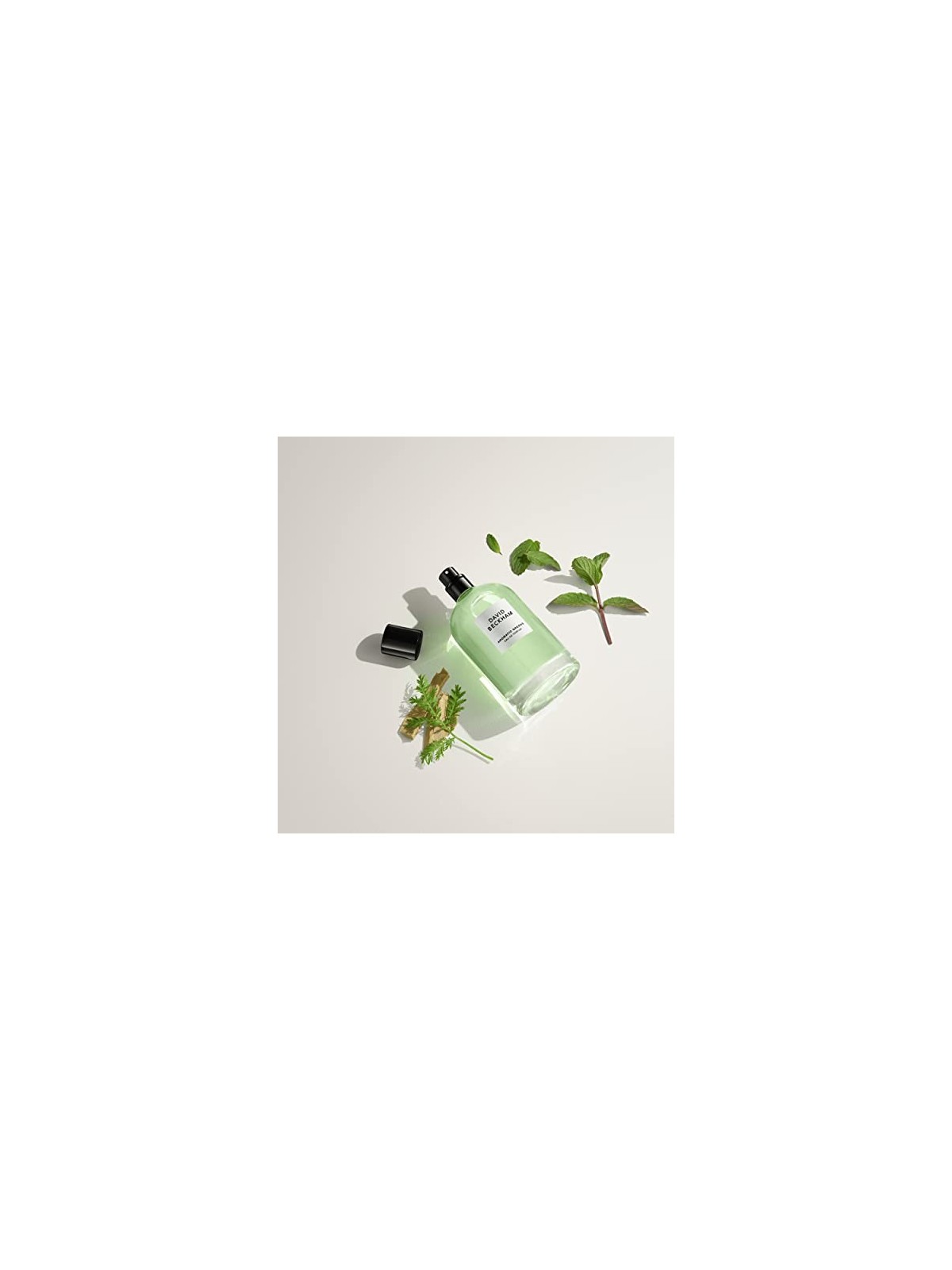 David Beckham Verdi Aromatici Eau de Parfum Uomo 100ml