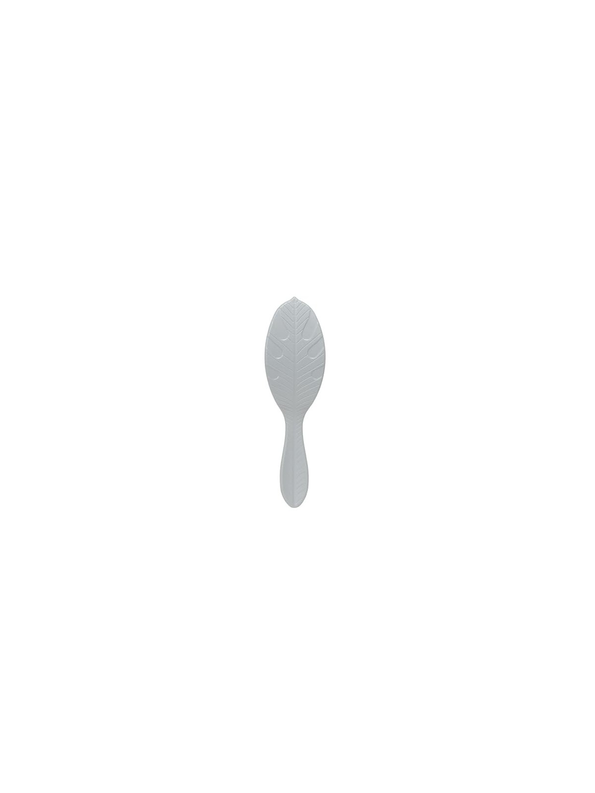 Spazzola Wet Brush Go Green al Carbone