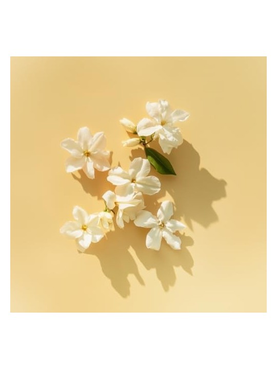 Elie Saab Le Parfum Lumiere EDP 30ml