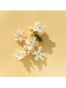 Elie Saab Le Parfum Lumiere EDP 30ml