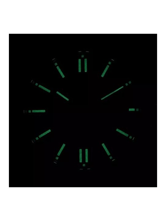 Citizen Automatic NJ0150-81X acquista 