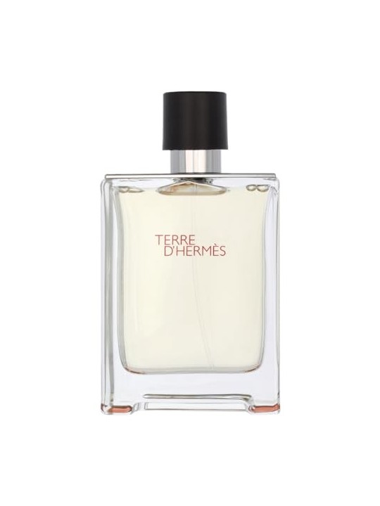 Hermes Terre D'Hermes eau de toilette Spray uomo 100ml