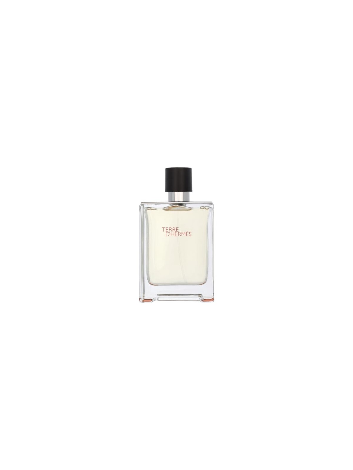 Hermes Terre D'Hermes eau de toilette Spray uomo 100ml