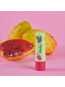 Melvita Nourishing Lip Balm 4,5g acquista 
