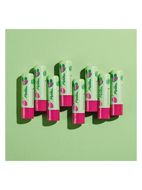 Melvita Nourishing Lip Balm 4,5g acquista 