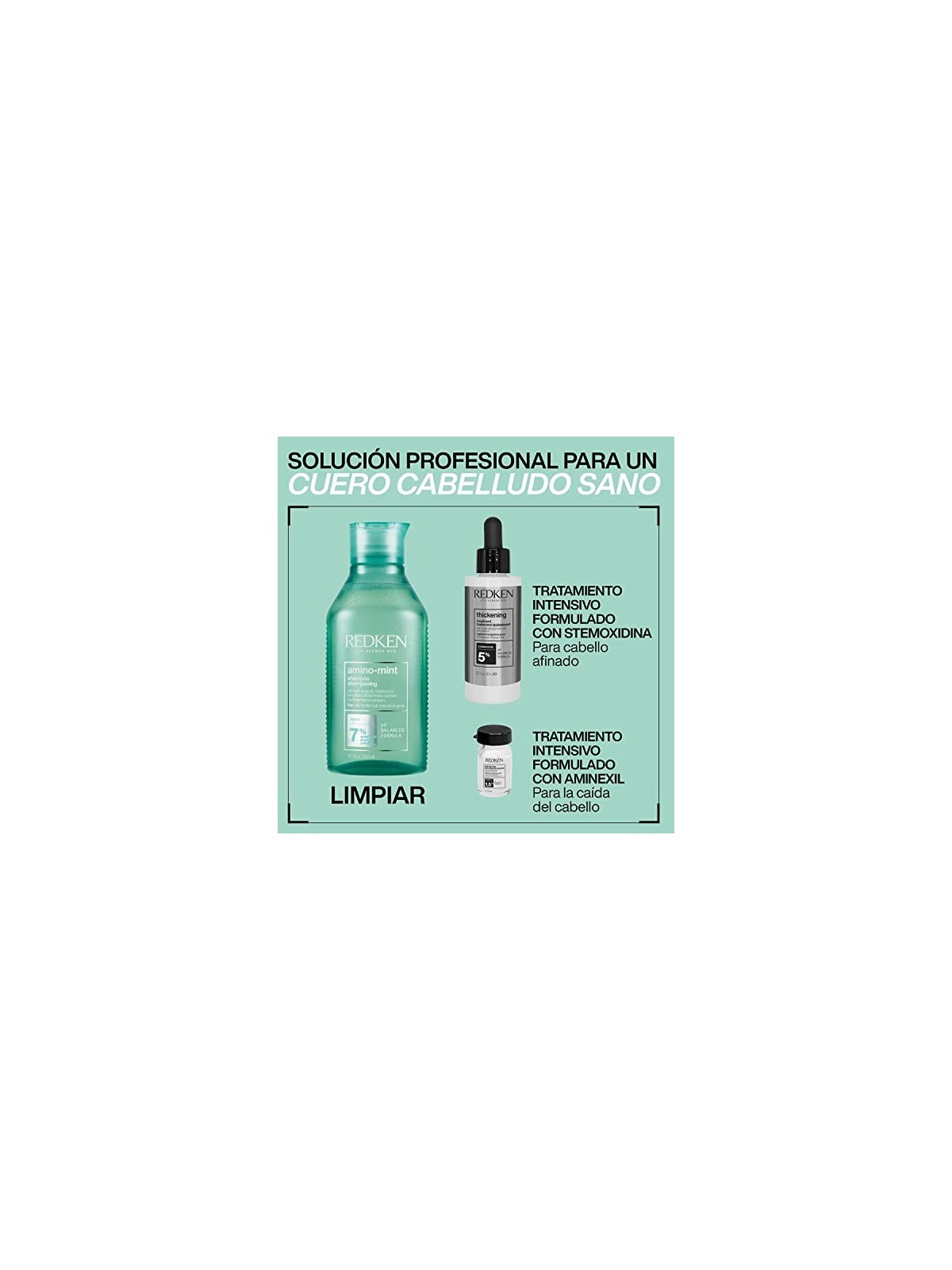 Redken Shampoo AMINO MINT 1000ml unisex Redken www.essenzetotalstyle.com 