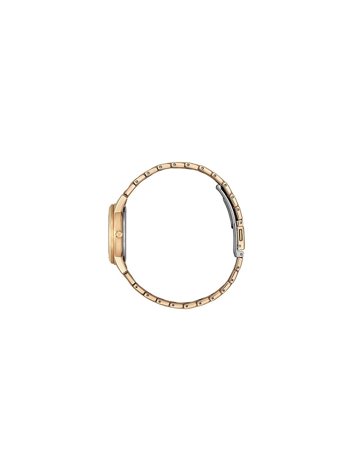 Citizen Eco-Drive FE1243-83A acquista 