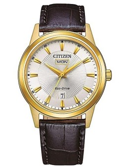 Citizen Eco-Drive AW0102-13AE acquista 
