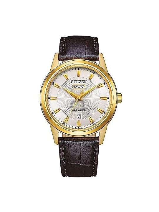 Citizen Eco-Drive AW0102-13AE acquista 