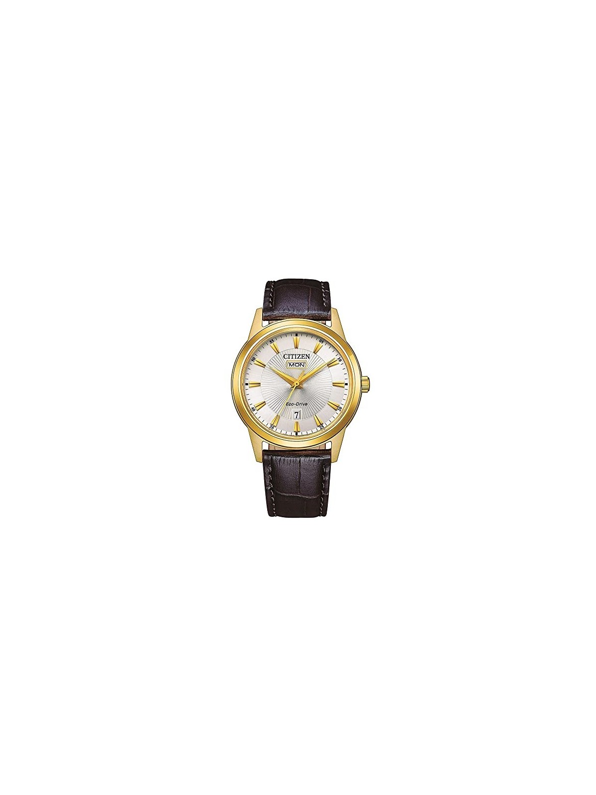 Citizen Eco-Drive AW0102-13AE acquista 