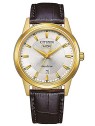Citizen Eco-Drive AW0102-13AE acquista 