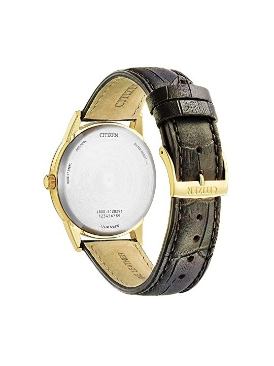 Citizen Eco-Drive AW0102-13AE acquista 