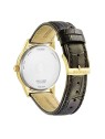 Citizen Eco-Drive AW0102-13AE acquista 