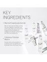 Fiale viso Babor Lift Express Ampoule Concentrates donna 14ml 7x2ml