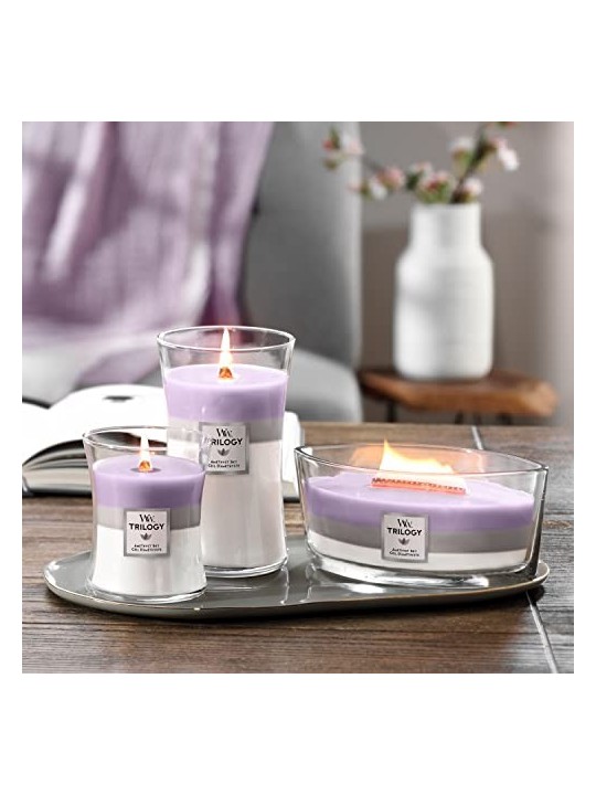 Candela Profumata WoodWick Amethyst Sky 609 5g