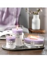 Candela Profumata WoodWick Amethyst Sky 609 5g
