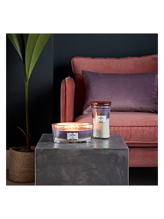 Candela Profumata WoodWick Amethyst Sky 609 5g