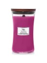 Candela Bacche Selvatiche & Barbabietole 609 5g