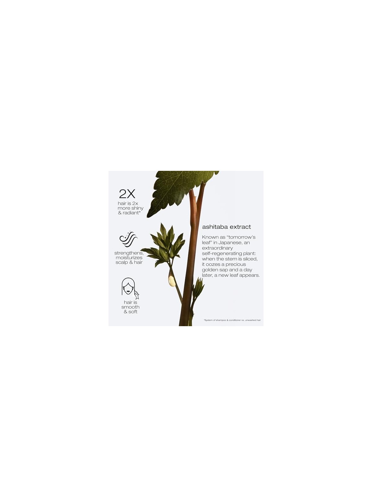 Ashita Supreme maschera di rivitalizzazione intensa 200ml
