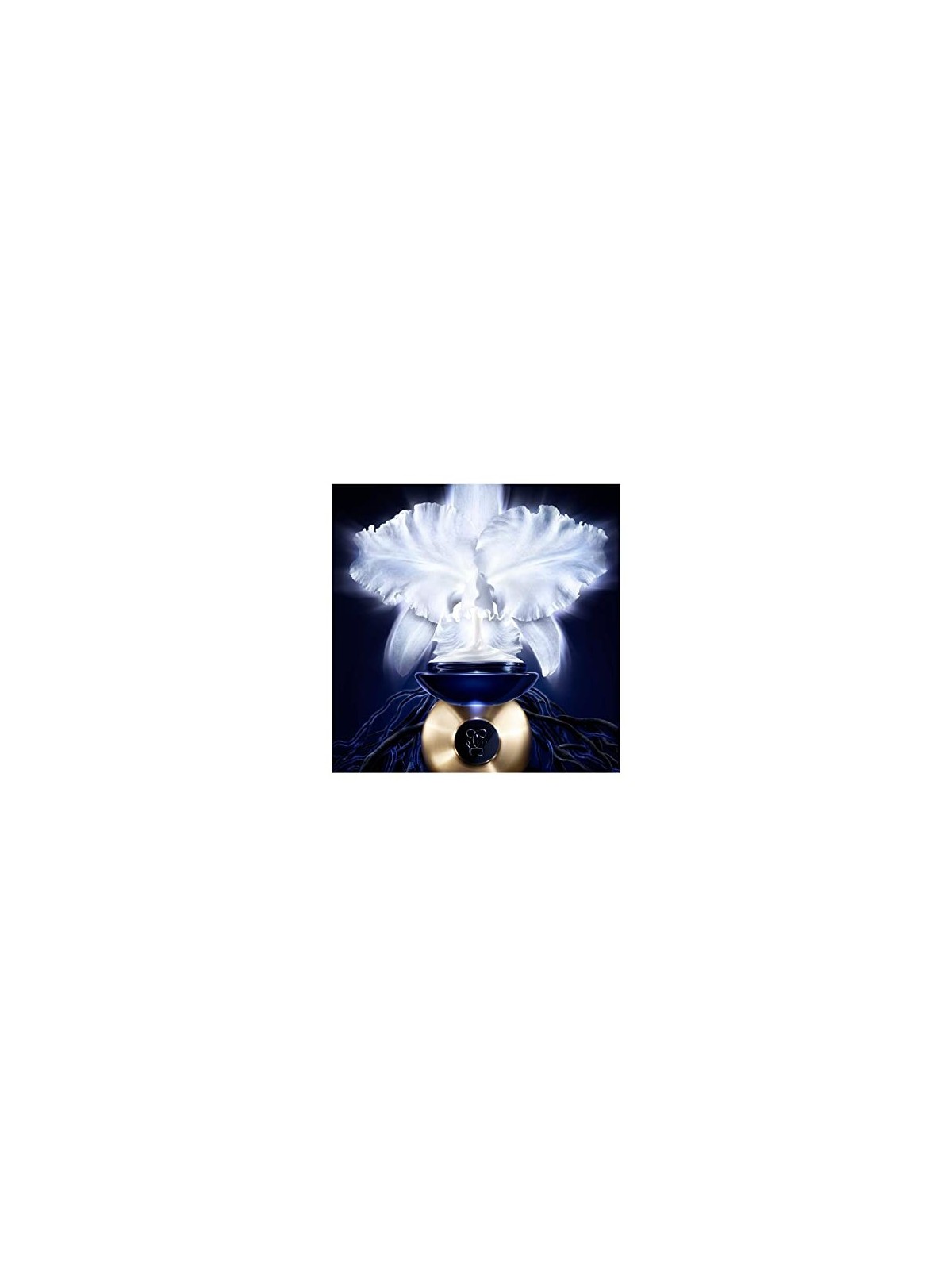 Guerlain Orchidee Imperiale Refreshing Cream 50ml for Women