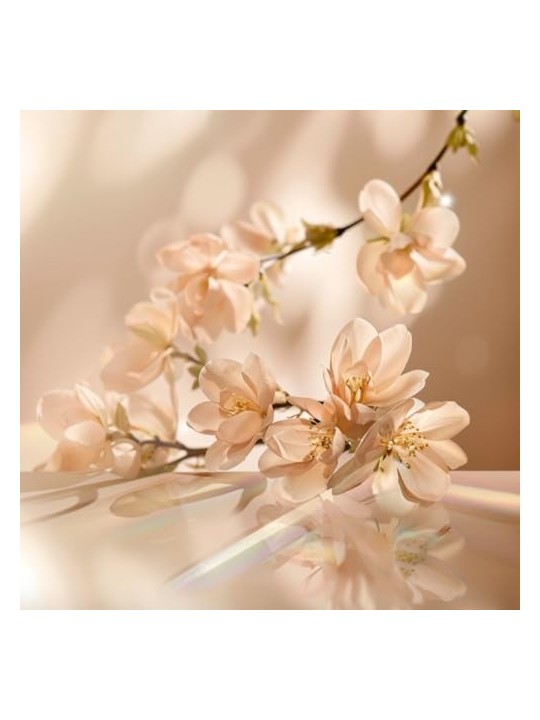 Elie Saab Le Parfum Eau de Parfum 50ml