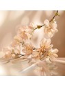 Elie Saab Le Parfum Eau de Parfum 50ml