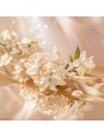 Elie Saab Le Parfum Eau de Parfum 50ml