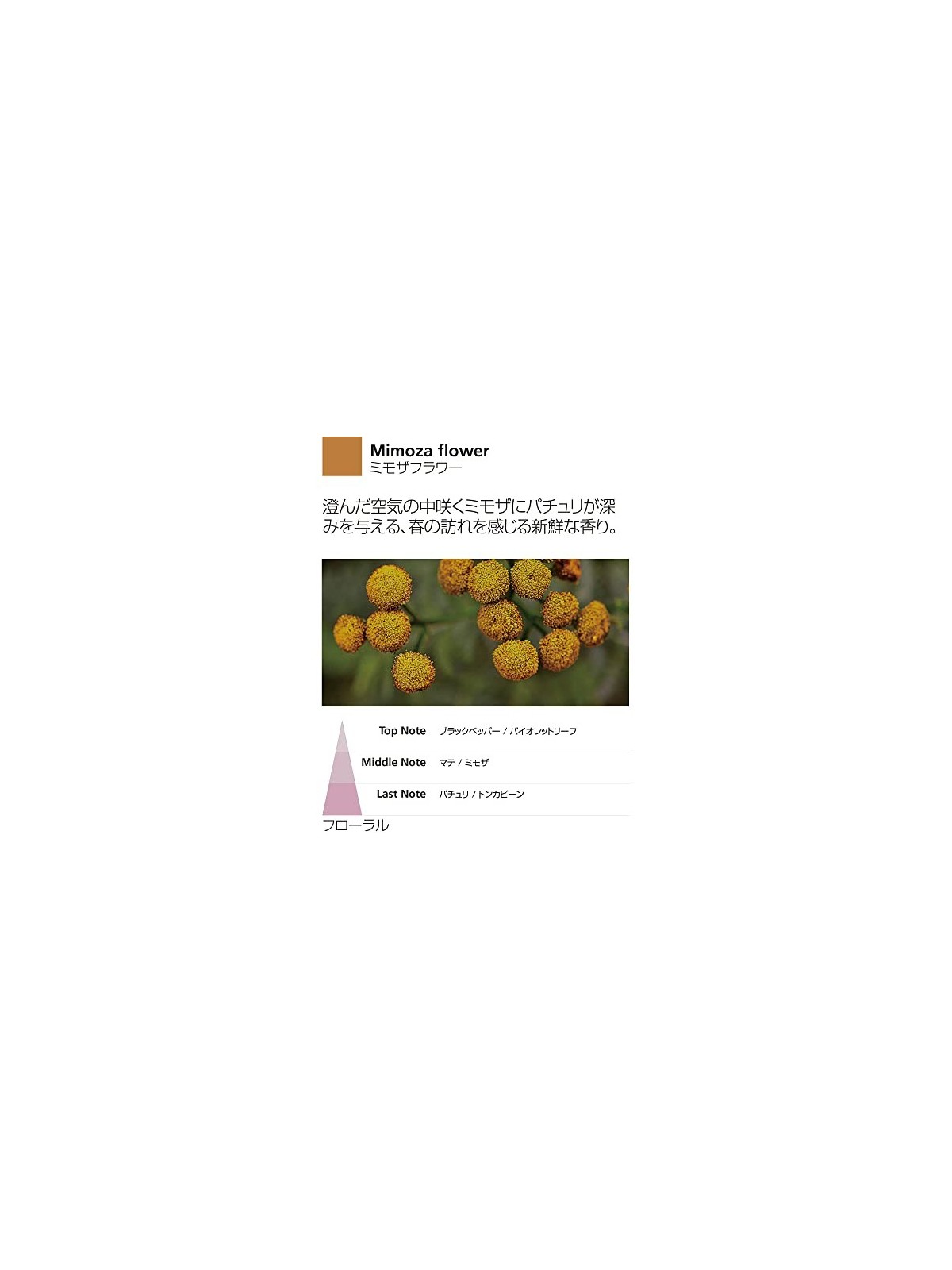 Ricarica Diffusore a Bastoncino Mimosa Flower 100ml