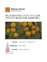 Ricarica Diffusore a Bastoncino Mimosa Flower 100ml