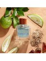 Hollister California Canyon Rush for Him Eau De Toilette 100 ml
