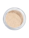 Artdeco Translucent Loose Powder 8g Numero 02 Translucent Light